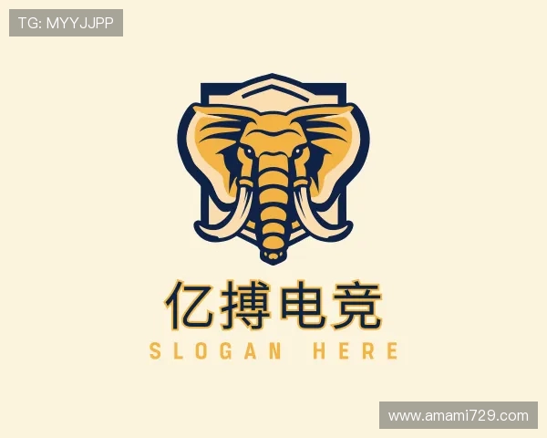 介绍YIBO亿博电竞官网